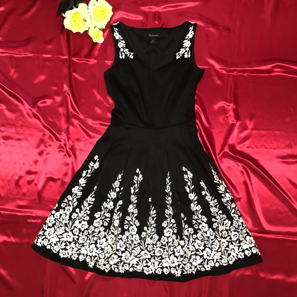 White House Black Market (WHBM) Sleeveless V Neck Embroidered Fit & Flare Dress - Picture 4 of 12